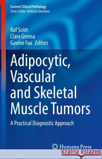 Adipocytic, Vascular and Skeletal Muscle Tumors: A Practical Diagnostic Approach Sciot, Raf 9783030374594 Springer