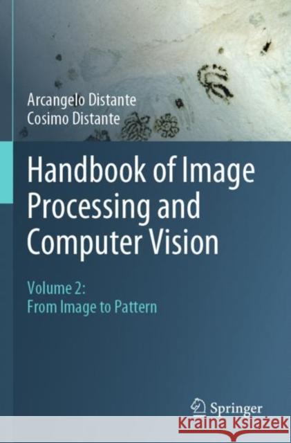 Handbook of Image Processing and Computer Vision: Volume 2: From Image to Pattern Arcangelo Distante Cosimo Distante 9783030423766