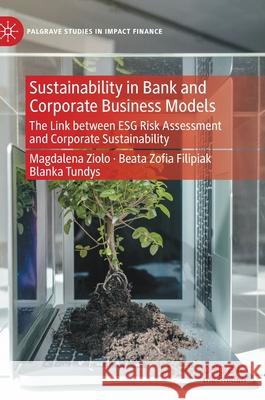 Sustainability in Bank and Corporate Business Models: The Link Between Esg Risk Assessment and Corporate Sustainability Magdalena Ziolo Beata Zoﬁa Filipiak Blanka Tundys 9783030720971