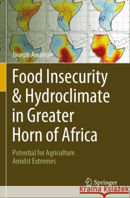 Food Insecurity & Hydroclimate in Greater Horn of Africa: Potential for Agriculture Amidst Extremes Joseph Awange 9783030910044