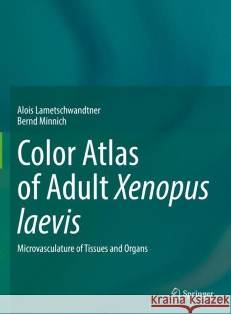 Color Atlas of Adult Xenopus laevis: Microvasculature of Tissues and Organs Alois Lametschwandtner Bernd Minnich 9783031051098 Springer