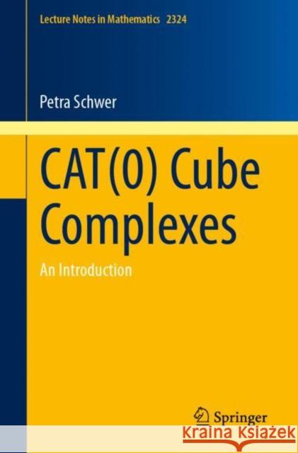 CAT(0) Cube Complexes: An Introduction  9783031436215 Springer