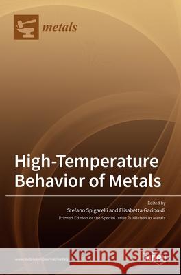 High-Temperature Behavior of Metals Elisabetta Gariboldi Stefano Spigarelli 9783036521992