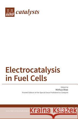 Electrocatalysis in Fuel Cells Minhua Shao 9783038422341
