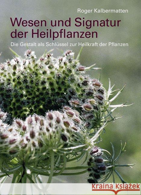 Wesen und Signatur der Heilpflanzen : Die Gestalt als Schlüssel zur Heilkraft der Pflanzen Kalbermatten, Roger 9783039020461 AT Verlag