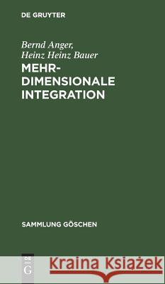 Mehrdimensionale Integration Anger, Bernd 9783110046120 Walter de Gruyter