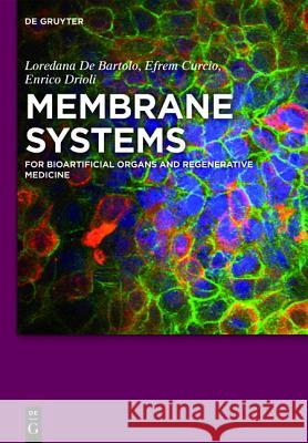 Membrane Systems: For Bioartificial Organs and Regenerative Medicine de Bartolo, Loredana 9783110267983 De Gruyter