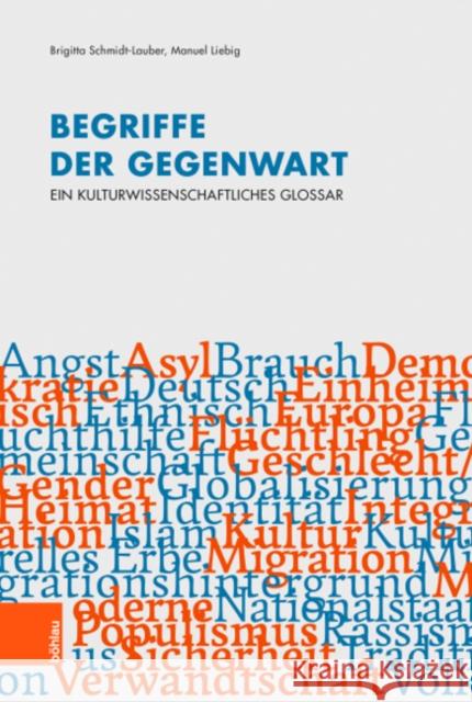 Begriffe der Gegenwart: Ein kulturwissenschaftliches Glossar Brigitta Schmidt-Lauber, Manuel Liebig 9783205212720