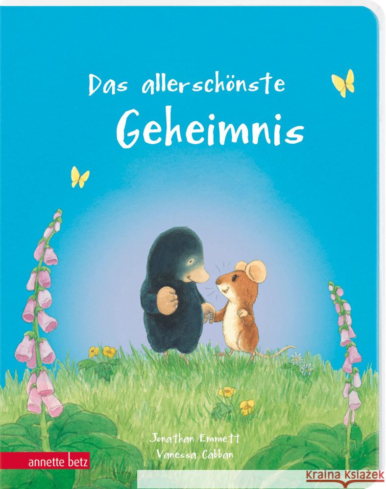 Das allerschönste Geheimnis - Ein liebevolles Pappbilderbuch über Freundschaft Emmett, Jonathan 9783219120288