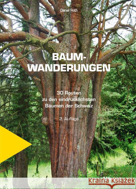 Baumwanderungen Roth, Daniel 9783258083087