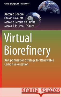 Virtual Biorefinery: An Optimization Strategy for Renewable Carbon Valorization Bonomi, Antonio 9783319260433 Springer