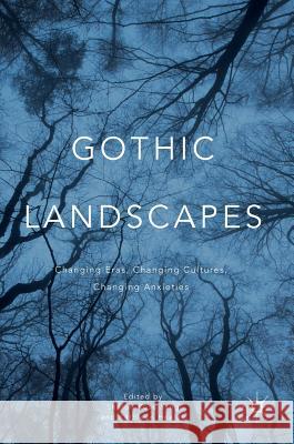 Gothic Landscapes: Changing Eras, Changing Cultures, Changing Anxieties Yang, Sharon Rose 9783319331645 Palgrave MacMillan