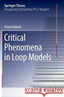 Critical Phenomena in Loop Models Adam Nahum 9783319360638 Springer