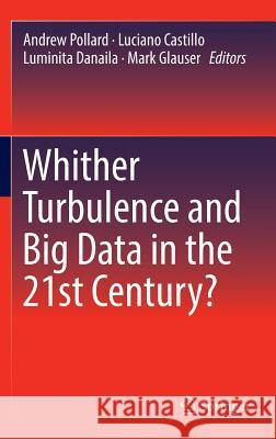 Whither Turbulence and Big Data in the 21st Century? Andrew Pollard Luciano Castillo Luminita Danaila 9783319412153