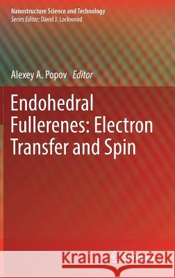 Endohedral Fullerenes: Electron Transfer and Spin Popov, Alexey A. 9783319470474