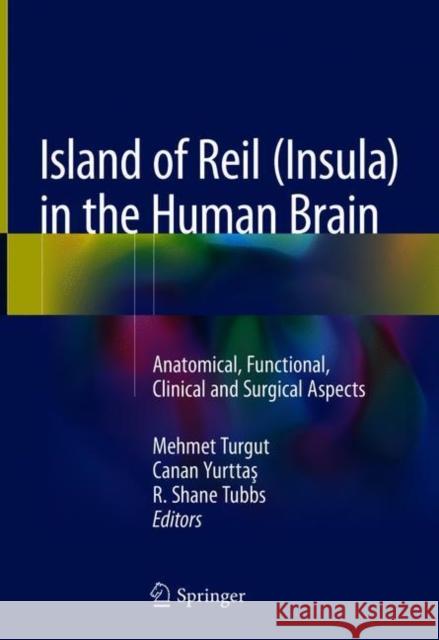 Island of Reil (Insula) in the Human Brain: Anatomical, Functional, Clinical and Surgical Aspects Turgut, Mehmet 9783319754673