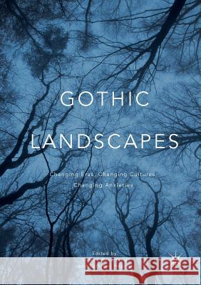 Gothic Landscapes: Changing Eras, Changing Cultures, Changing Anxieties Yang, Sharon Rose 9783319814445 Palgrave MacMillan