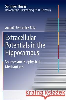 Extracellular Potentials in the Hippocampus: Sources and Biophysical Mechanisms Fernández Ruiz, Antonio 9783319822495