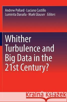 Whither Turbulence and Big Data in the 21st Century? Andrew Pollard Luciano Castillo Luminita Danaila 9783319822976