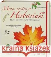 Mein erstes Herbarium, Bäume bestimmen und Blätter pressen Saan, Anita van Beyer, Viola  9783401452562 Ensslin im Arena Verlag