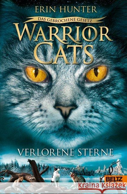 Warrior Cats - Das gebrochene Gesetz - Verlorene Sterne : Staffel VII, Band 1 Hunter, Erin 9783407755599