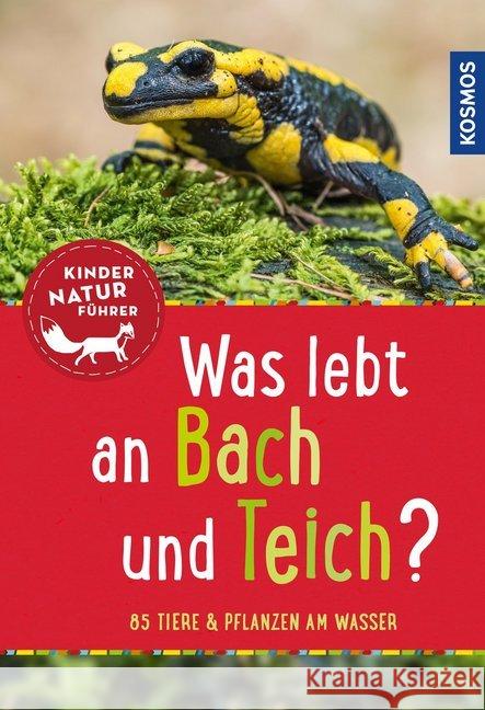 Was lebt an Bach und Teich? : 85 Tiere & Pflanzen am Wasser Saan, Anita van 9783440147993 Kosmos (Franckh-Kosmos)