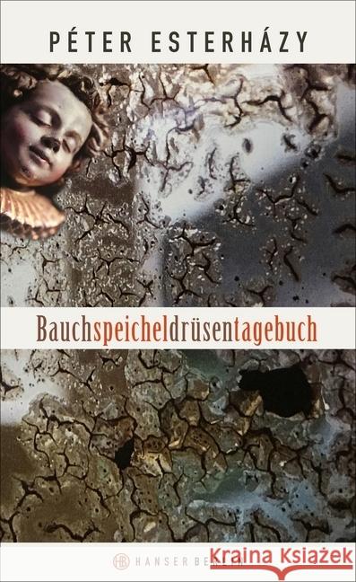 Bauchspeicheldrüsentagebuch Esterházy, Péter 9783446255449 Hanser