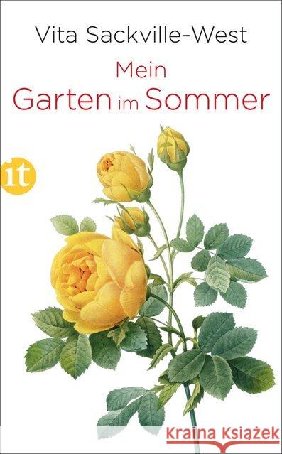 Mein Garten im Sommer Sackville-West, Vita 9783458364139 Insel Verlag