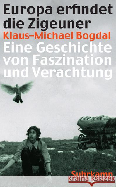 Europa erfindet die Zigeuner : Eine Geschichte von Faszination und Verachtung Bogdal, Klaus-Michael 9783518465318