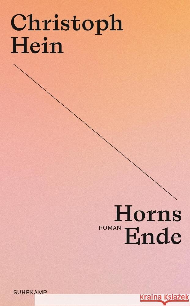 Horns Ende Hein, Christoph 9783518473948