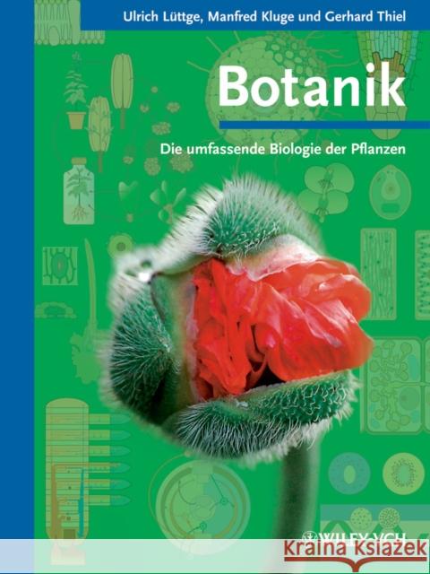 Botanik : Die umfassende Biologie der Pflanzen Lüttge, Ulrich Kluge, Manfred Thiel, Gerhard 9783527320301
