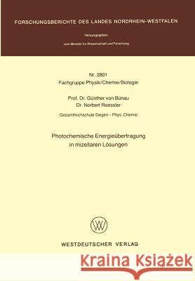 Photochemische Energieübertragung in Mizellaren Lösungen Bünau 9783531028019 Vs Verlag F R Sozialwissenschaften