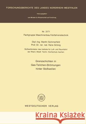 Grenzschichten in Gas-Teilchen-Strömungen Hinter Stoßwellen Sommerfeld, Martin 9783531031712