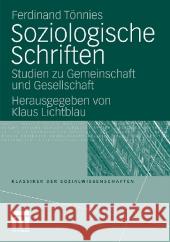 Studien Zu Gemeinschaft Und Gesellschaft Tönnies, Ferdinand 9783531162409 Vs Verlag F R Sozialwissenschaften