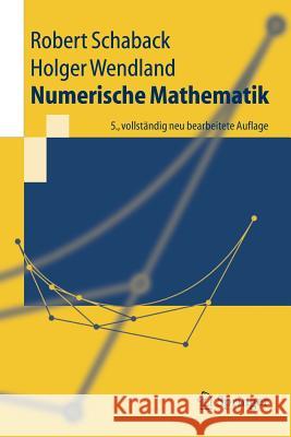 Numerische Mathematik Robert Schaback, Holger Wendland 9783540213949