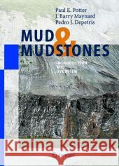 Mud and Mudstones: Introduction and Overview Potter, Paul E. 9783540221579 Springer