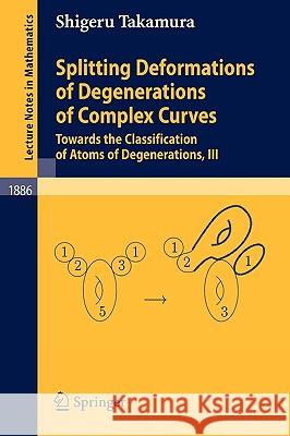Splitting Deformations of Degenerations of Complex Curves: Towards the Classification of Atoms of Degenerations, III Shigeru Takamura 9783540333630