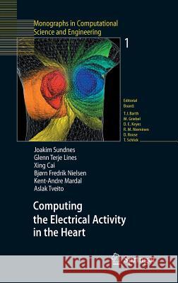 Computing the Electrical Activity in the Heart Joakim Sundnes, Glenn Terje Lines, Xing Cai, Bjørn Frederik Nielsen, Kent-Andre Mardal, Aslak Tveito 9783540334323