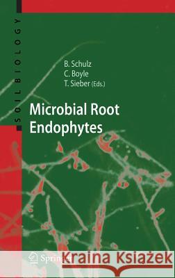 Microbial Root Endophytes Barbara J. E. Schulz Barbara Schulz 9783540335252 Springer