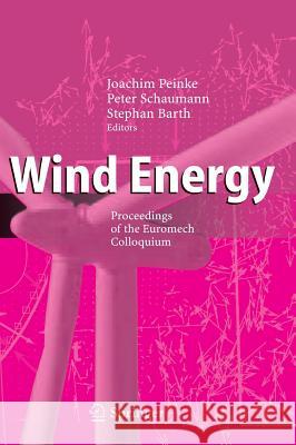 Wind Energy: Proceedings of the Euromech Colloquium Peinke, Joachim 9783540338659