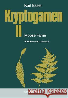 Kryptogamen II Moose - Farne: Praktikum Und Lehrbuch Esser, Karl 9783540536512 Not Avail
