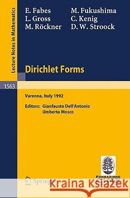 Dirichlet Forms: Lectures given at the 1st Session of the Centro Internazionale Matematico Estivo (C.I.M.E.) held in Varenna, Italy, June 8-19, 1992 E. Fabes, M. Fukushima, L. Gross, C. Kenig, M. Röckner, D.W. Stroock, Gianfausto Dell'Antonio, Umberto Mosco 9783540574217 Springer-Verlag Berlin and Heidelberg GmbH & 
