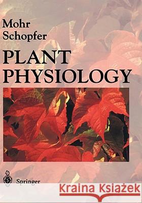 Plant Physiology Hans Mohr Peter Schopfer Dr Hans Mohr 9783540580164