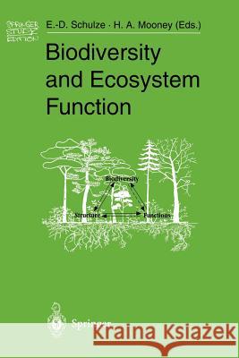 Biodiversity and Ecosystem Function Ernst-Detlef Schulze Harold A. Mooney E. -D Schulze 9783540581031