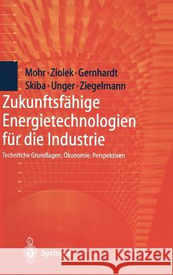 Zukunftsfähige Energietechnologien Für Die Industrie: Technische Grundlagen, Ökonomie, Perspektiven Thalheim, Y. 9783540638407