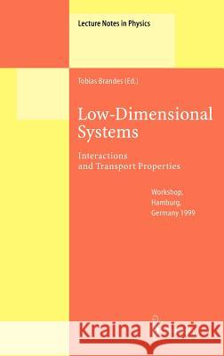 Low-Dimensional Systems: Interactions and Transport Properties Brandes, Tobias 9783540672371 Springer