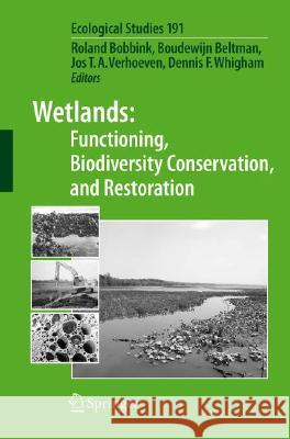 Wetlands: Functioning, Biodiversity Conservation, and Restoration R. Bobbink 9783540774204