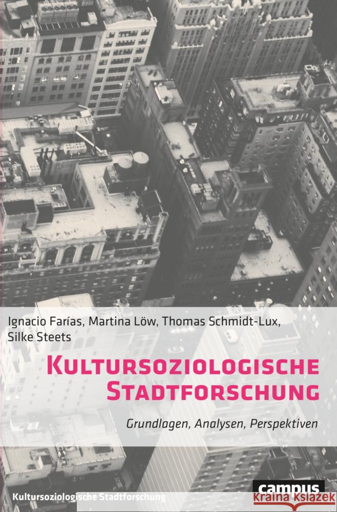 Kultursoziologische Stadtforschung Farías, Ignacio, Löw, Martina, Schmidt-Lux, Thomas 9783593515861