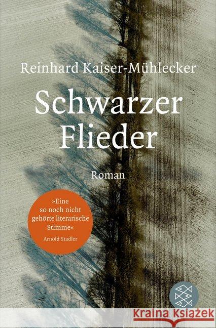 Schwarzer Flieder : Roman Kaiser-Mühlecker, Reinhard 9783596030903 FISCHER Taschenbuch