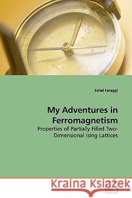 My Adventures in Ferromagnetism Eshel Faraggi 9783639159424 VDM Verlag